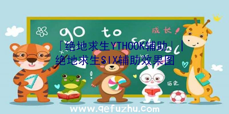 「绝地求生YTHOOK辅助」|绝地求生SIX辅助效果图